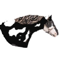 horse.jpg, 6570 bytes, 02/05/00